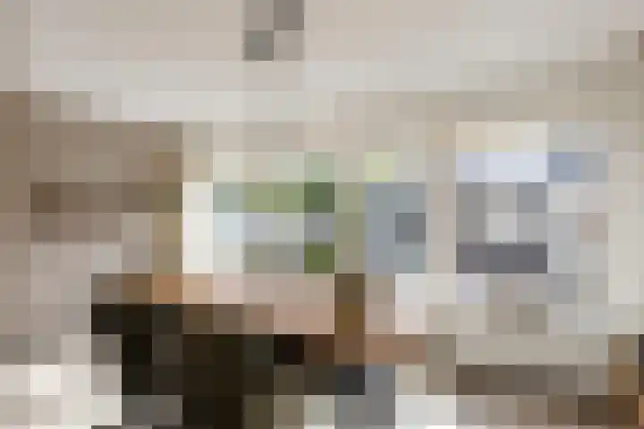 Boterzwin 2322 Julianadorp thumbnail 15