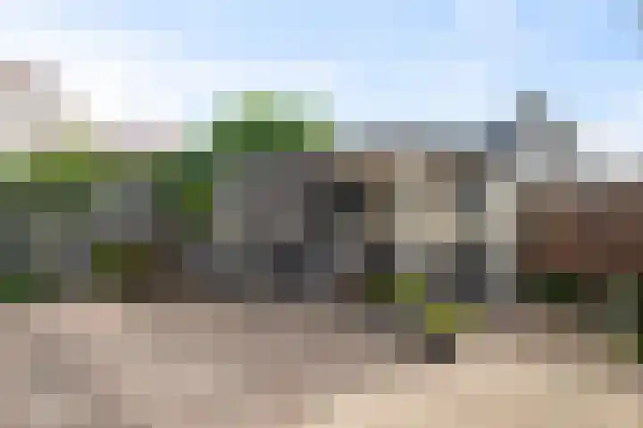 Boterzwin 2322 Julianadorp thumbnail 16