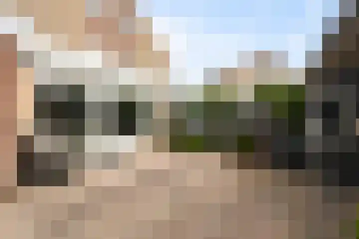 Boterzwin 2322 Julianadorp thumbnail 18