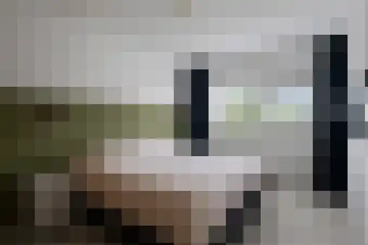 Boterzwin 2322 Julianadorp thumbnail 20