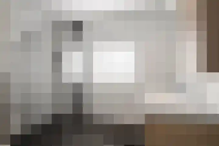 Boterzwin 2322 Julianadorp thumbnail 23