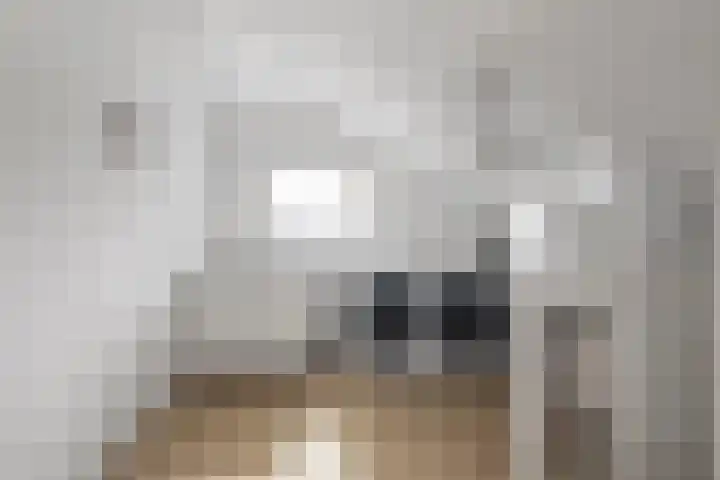 Boterzwin 2322 Julianadorp thumbnail 25