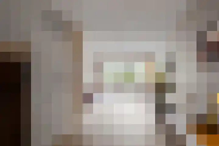 Boterzwin 2322 Julianadorp thumbnail 5