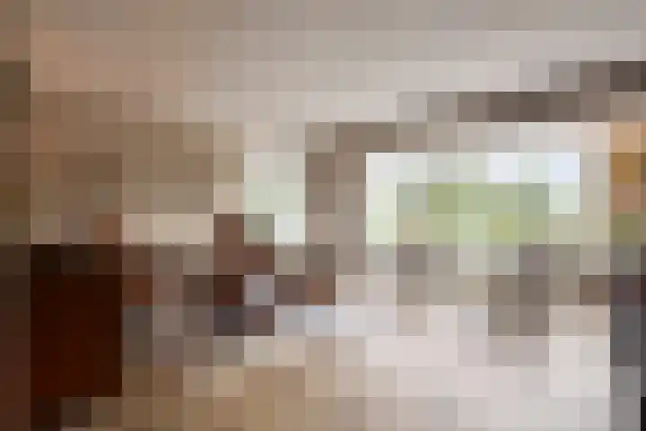 Boterzwin 2322 Julianadorp thumbnail 6