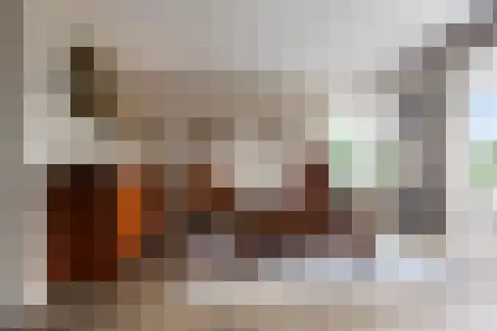 Boterzwin 2322 Julianadorp thumbnail 7
