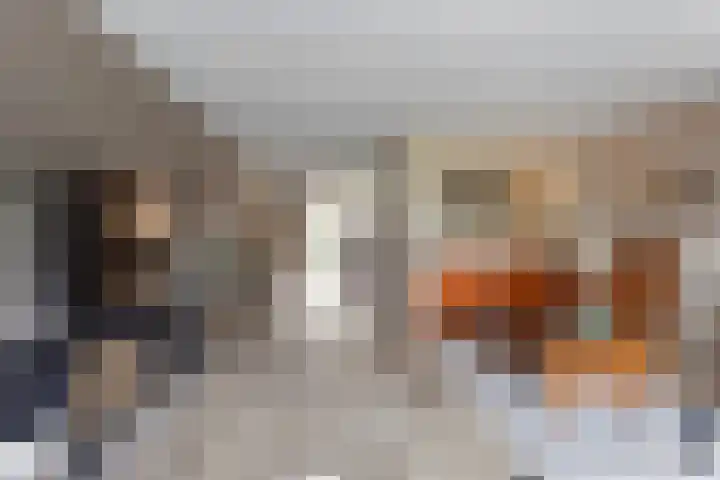 Boterzwin 2322 Julianadorp thumbnail 8