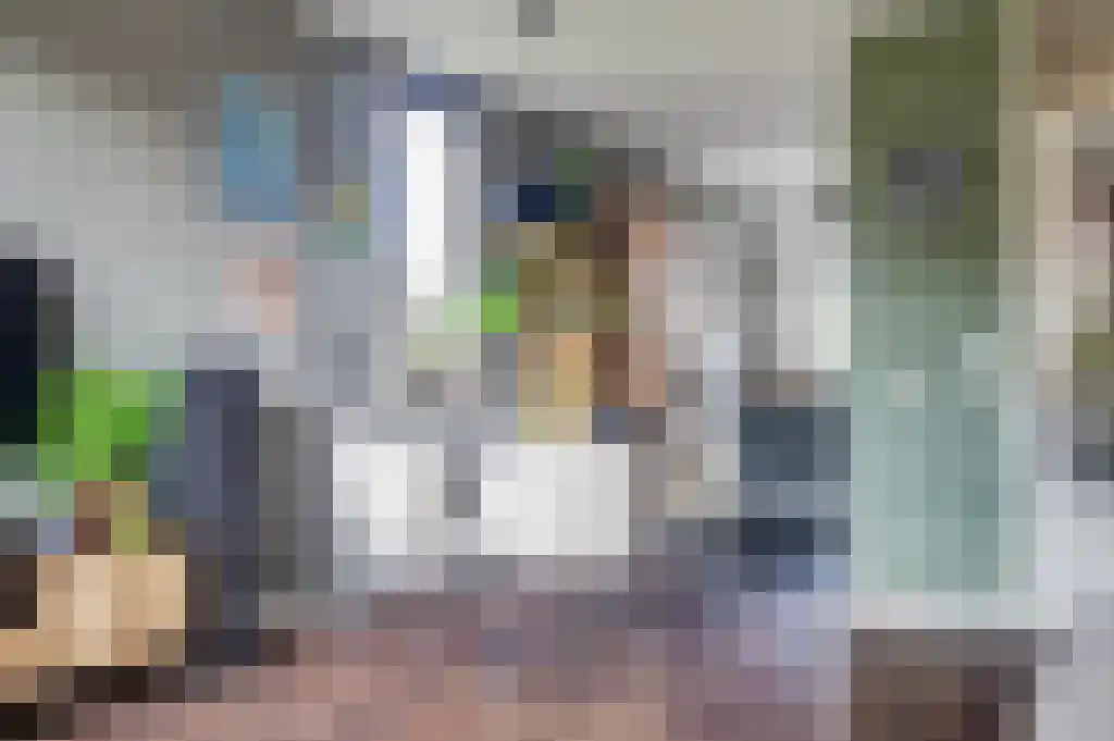 Boterzwin 3201 Julianadorp thumbnail 12
