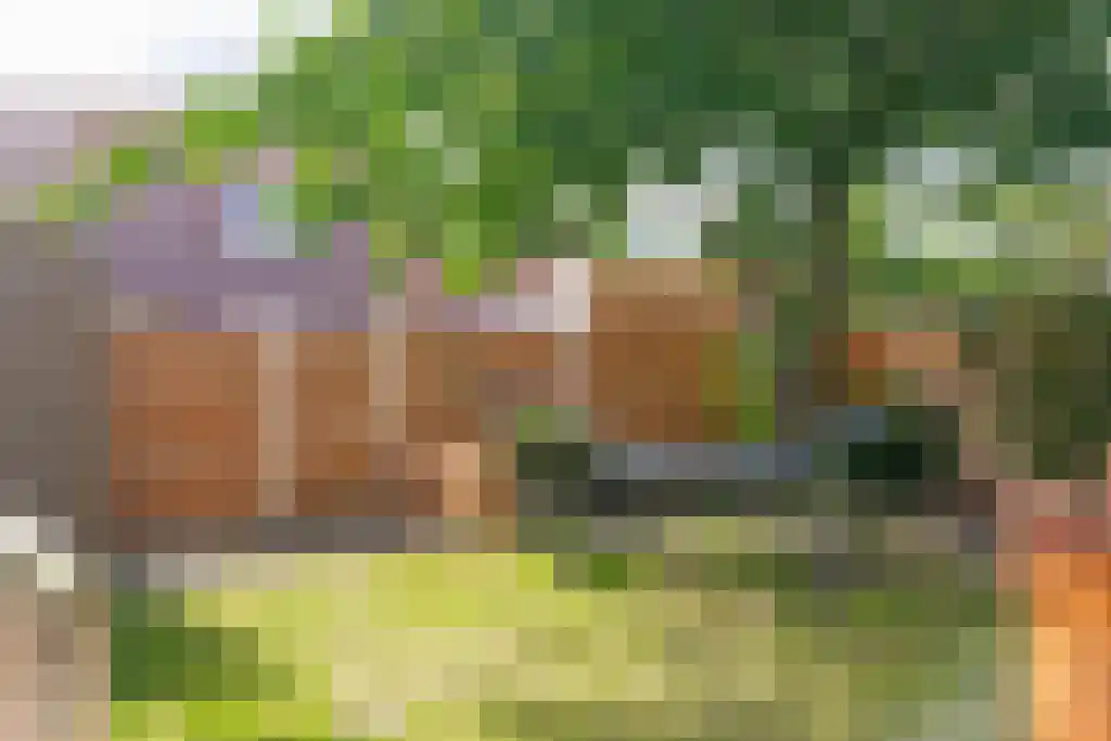 Boterzwin 3201 Julianadorp thumbnail 17