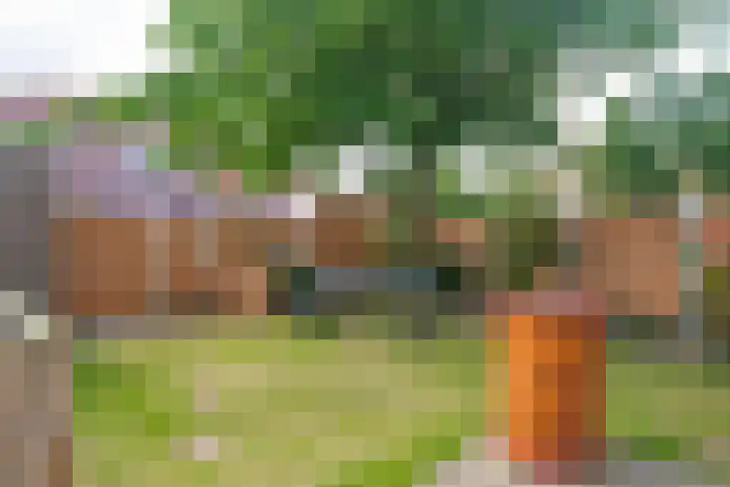 Boterzwin 3201 Julianadorp thumbnail 19