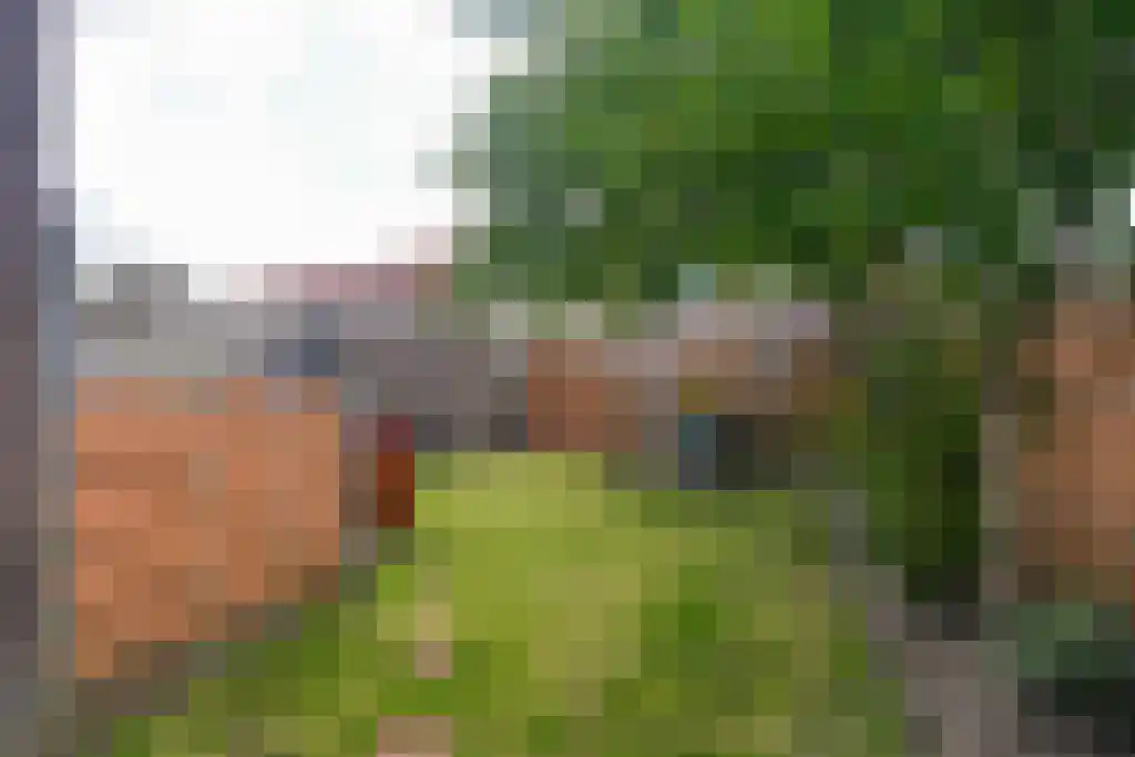 Boterzwin 3201 Julianadorp thumbnail 20