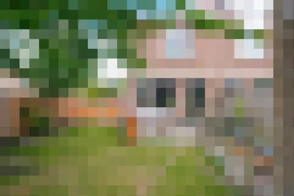 Boterzwin 3201 Julianadorp thumbnail 21