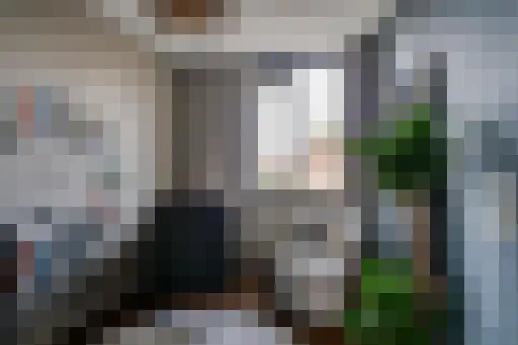 Boterzwin 3201 Julianadorp thumbnail 22