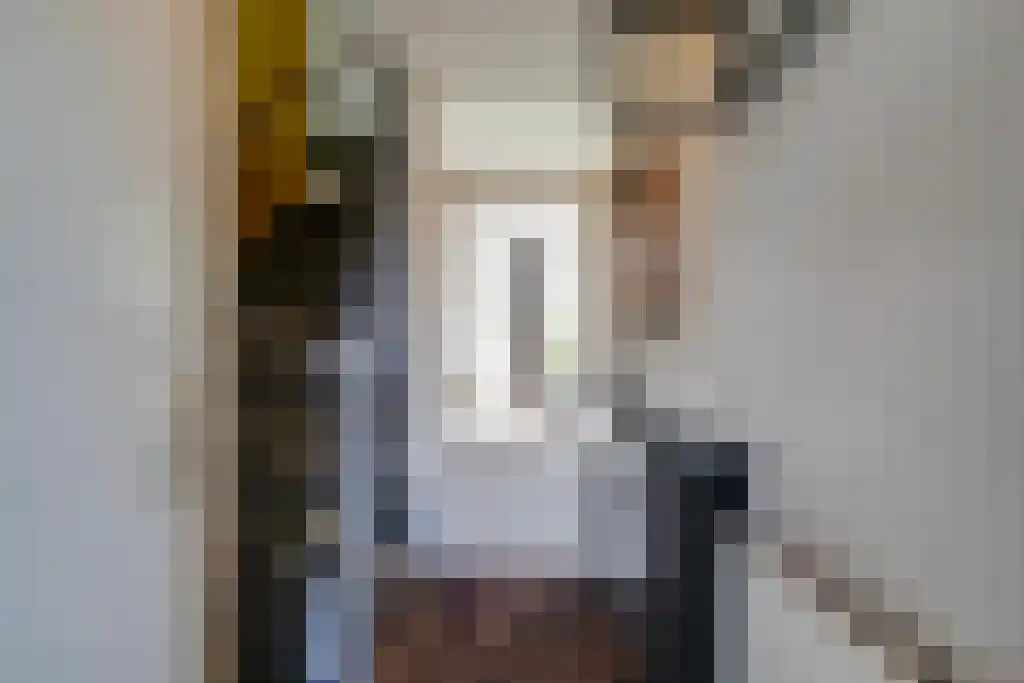 Boterzwin 3201 Julianadorp thumbnail 6