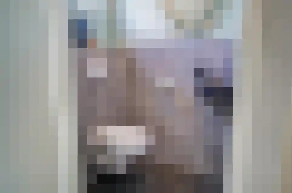 Boterzwin 3201 Julianadorp thumbnail 7