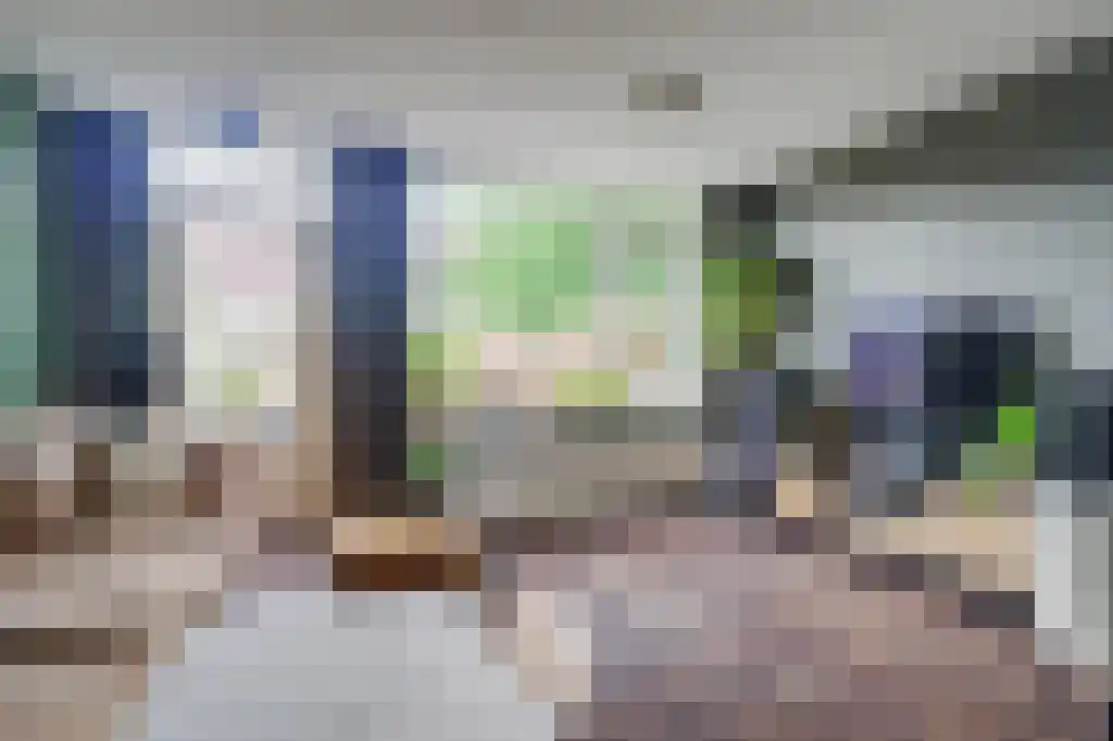 Boterzwin 3201 Julianadorp thumbnail 9