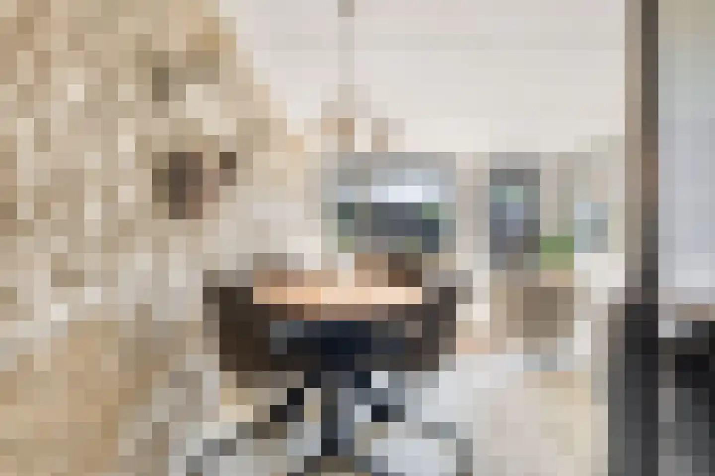 Boterzwin 3225 Julianadorp thumbnail 11