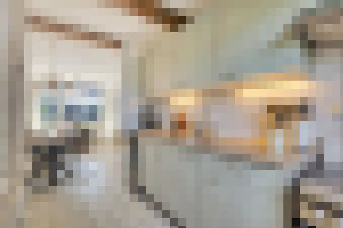 Boterzwin 3225 Julianadorp thumbnail 13