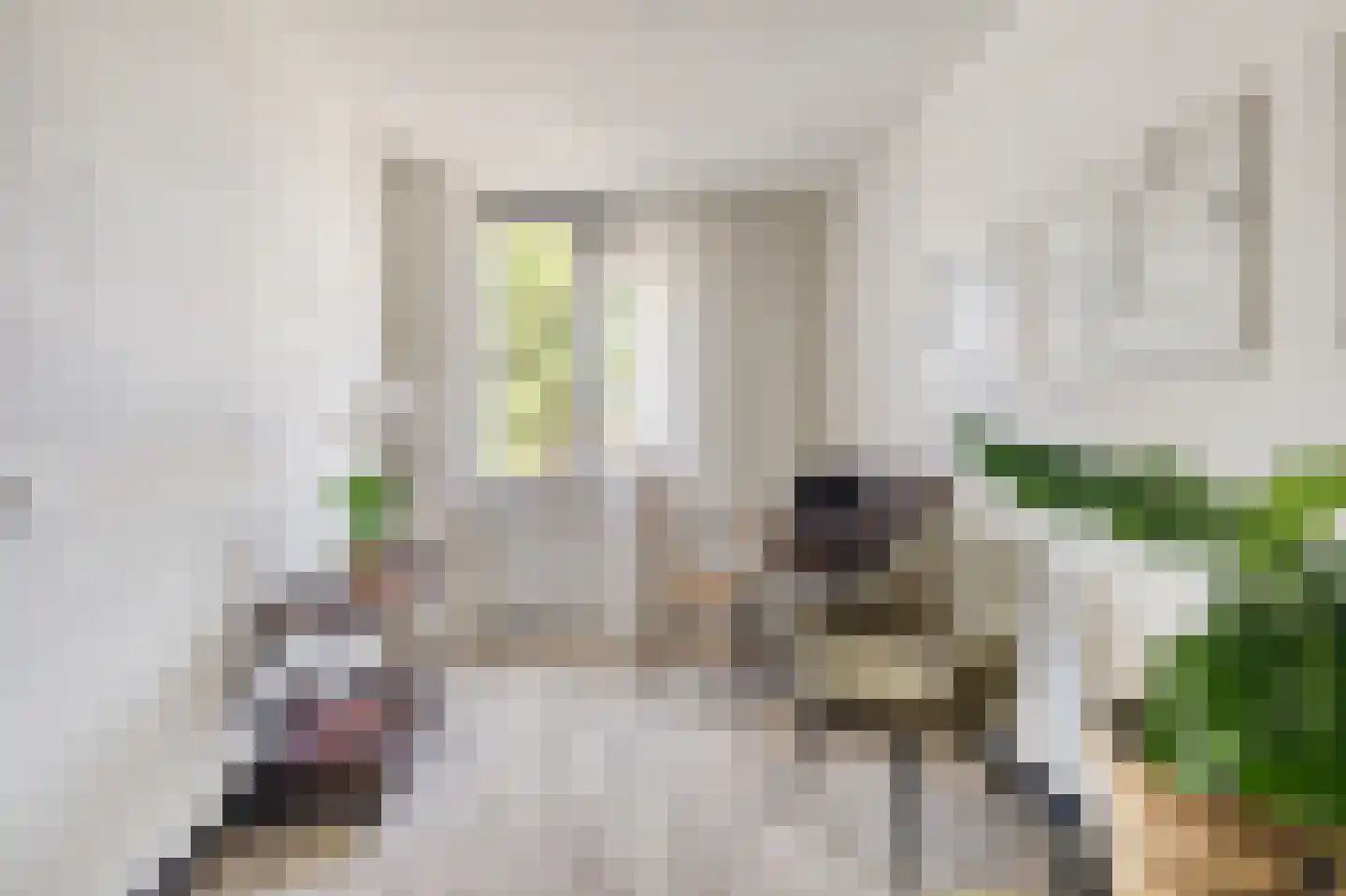Boterzwin 3225 Julianadorp thumbnail 17