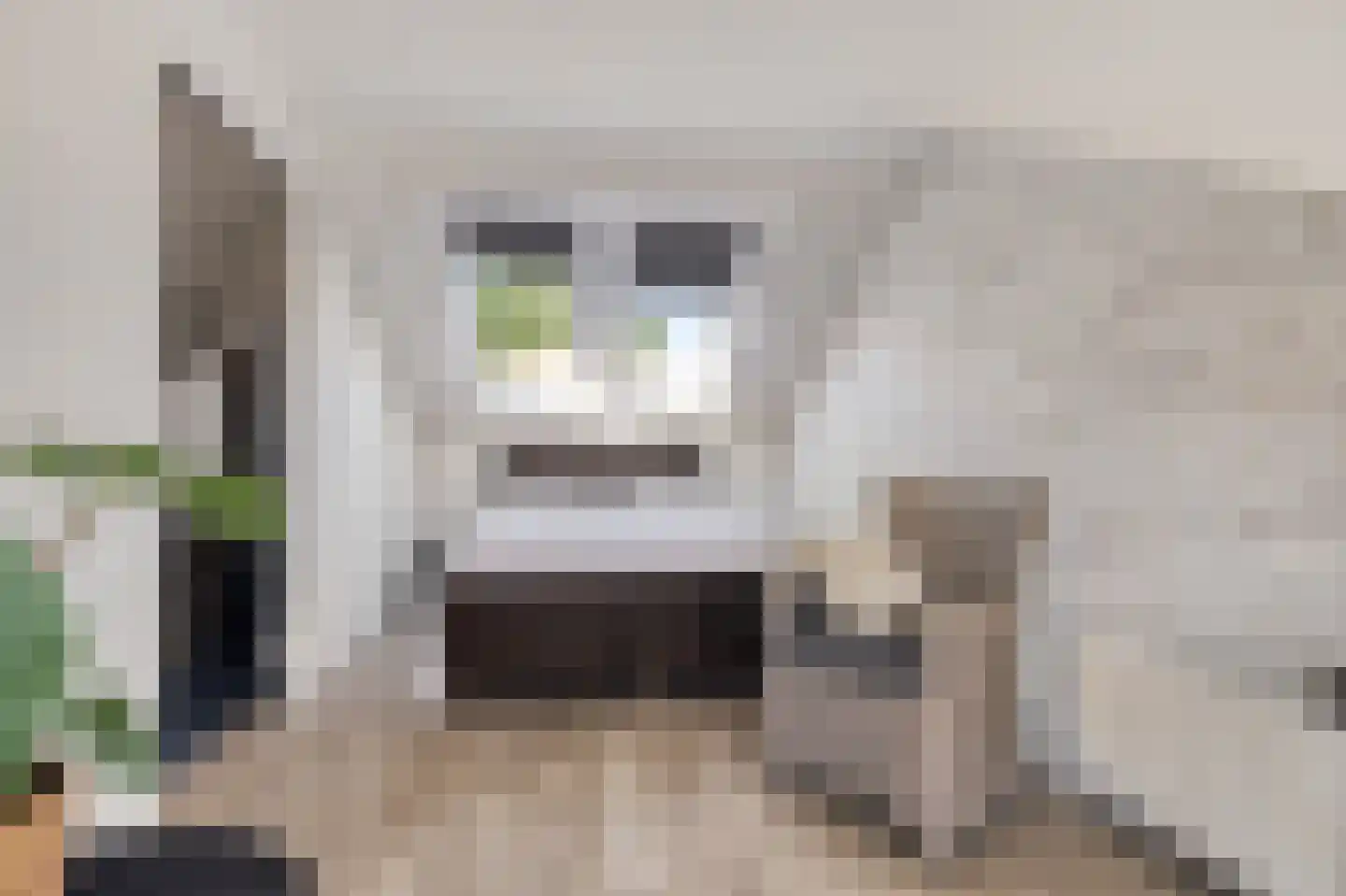 Boterzwin 3225 Julianadorp thumbnail 23