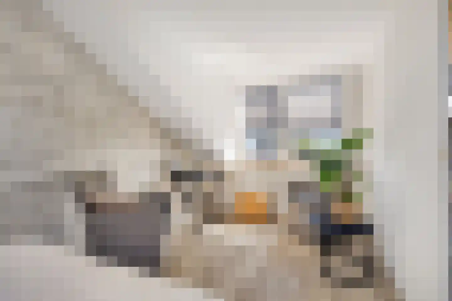 Boterzwin 3225 Julianadorp thumbnail 24