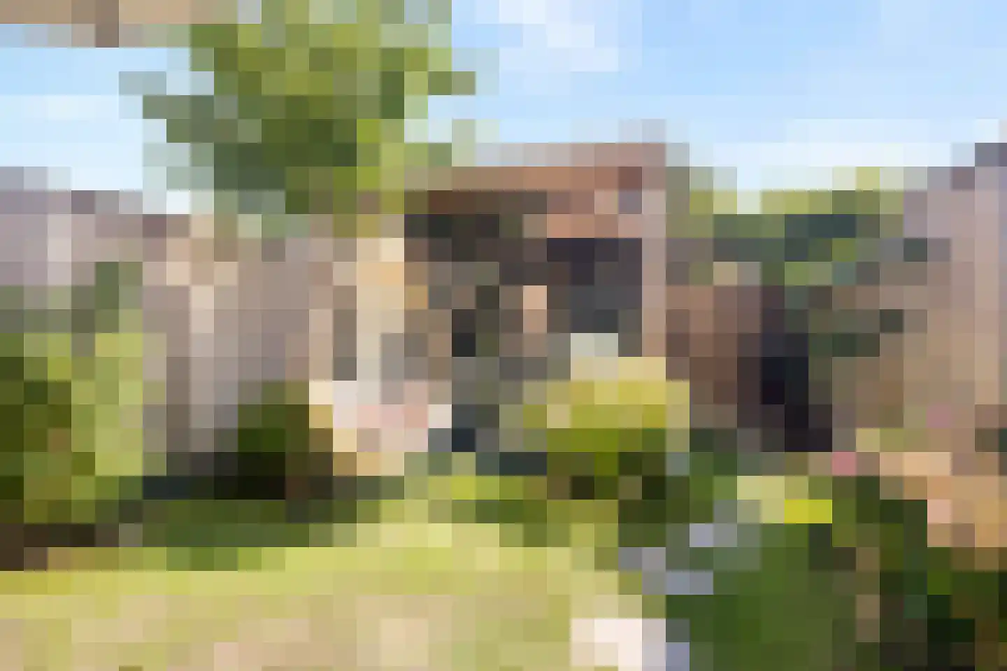 Boterzwin 3225 Julianadorp thumbnail 28
