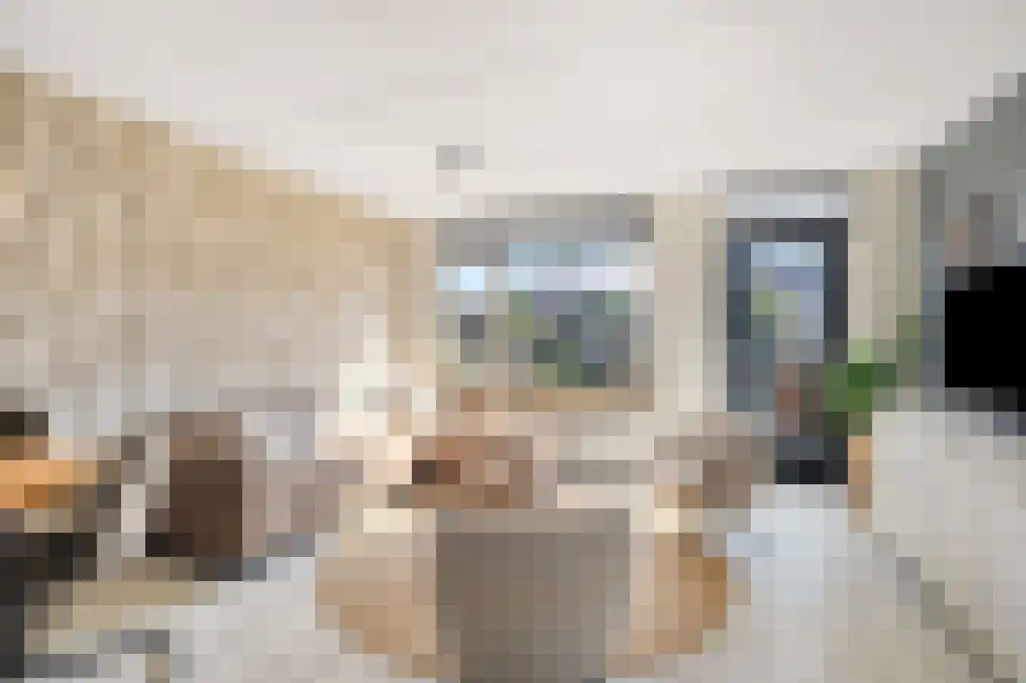 Boterzwin 3225 Julianadorp thumbnail 4