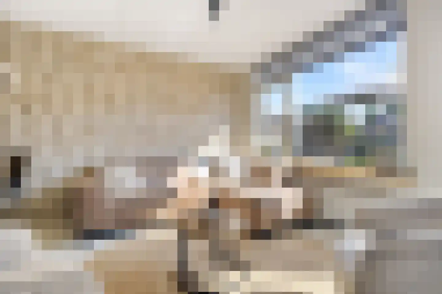 Boterzwin 3225 Julianadorp thumbnail 6