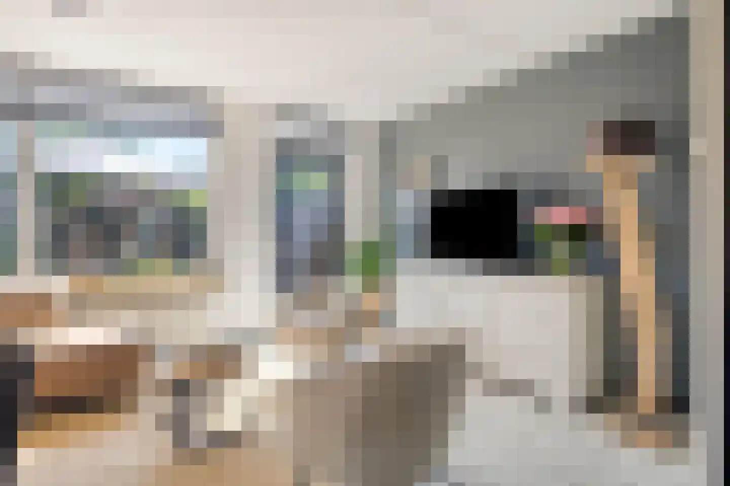 Boterzwin 3225 Julianadorp thumbnail 7