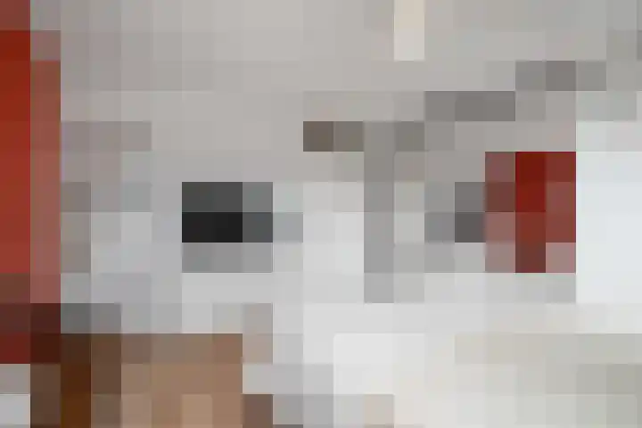 Boterzwin 3527 Julianadorp thumbnail 12