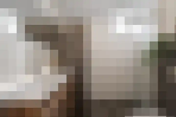 Boterzwin 3527 Julianadorp thumbnail 15