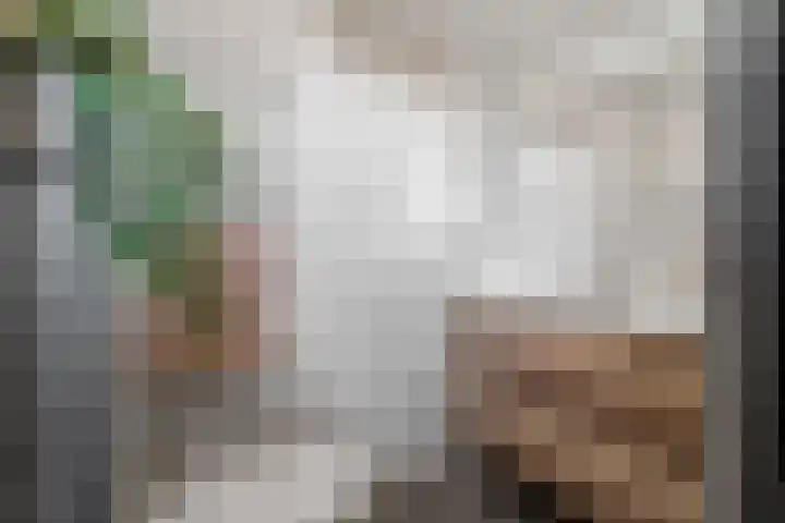 Boterzwin 3527 Julianadorp thumbnail 16