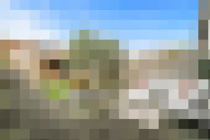 Boterzwin 3527 Julianadorp thumbnail 18