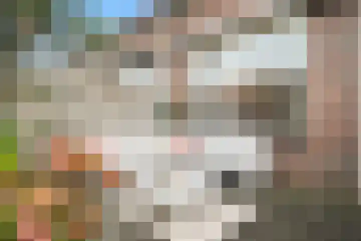 Boterzwin 3527 Julianadorp thumbnail 19