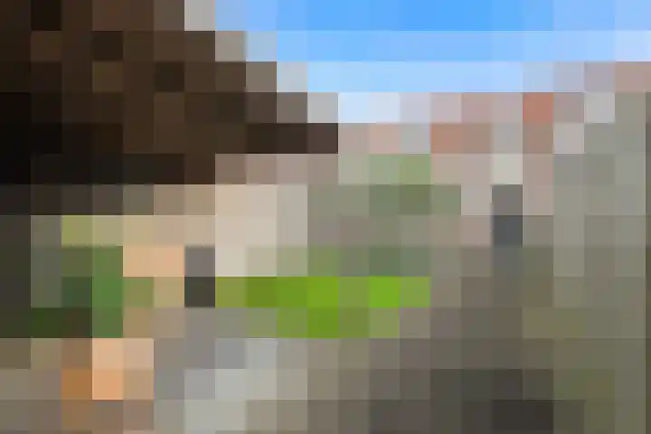 Boterzwin 3527 Julianadorp thumbnail 20