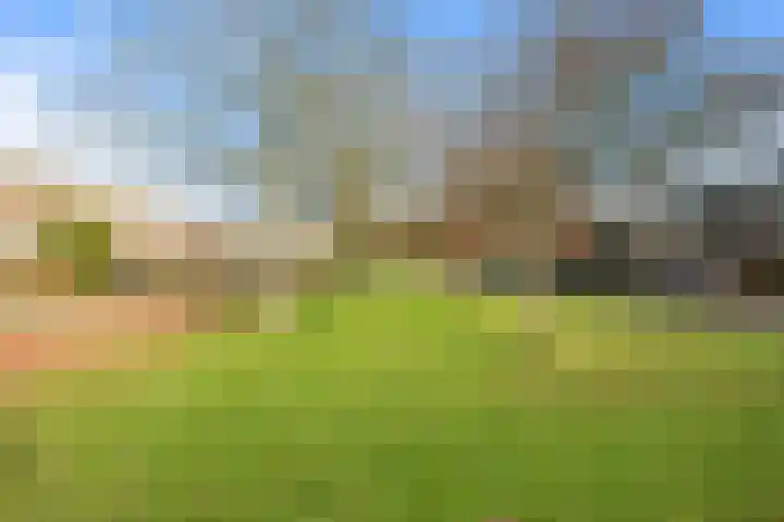 Boterzwin 3527 Julianadorp thumbnail 21