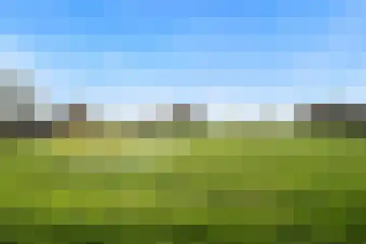 Boterzwin 3527 Julianadorp thumbnail 22