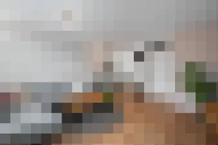 Boterzwin 3527 Julianadorp thumbnail 6