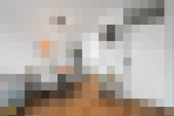 Boterzwin 3527 Julianadorp thumbnail 8