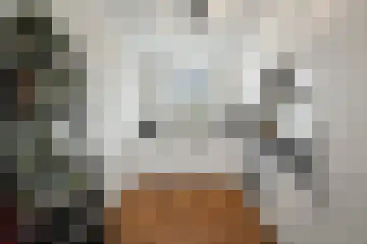 Boterzwin 3527 Julianadorp thumbnail 9