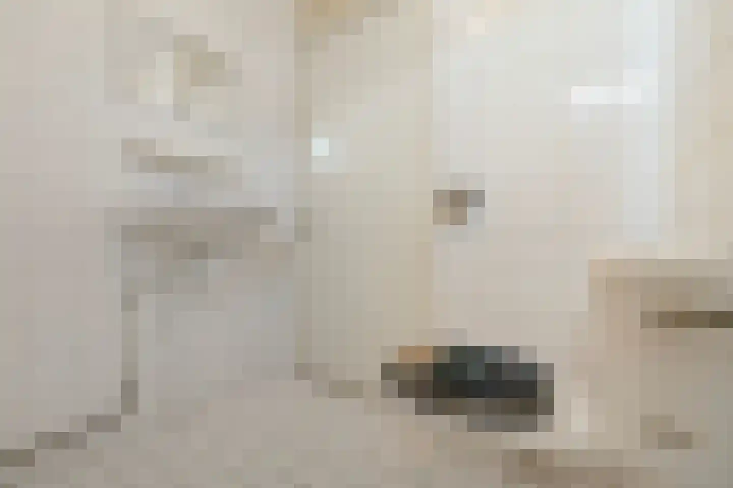 Boterzwin 3532 Julianadorp thumbnail 14