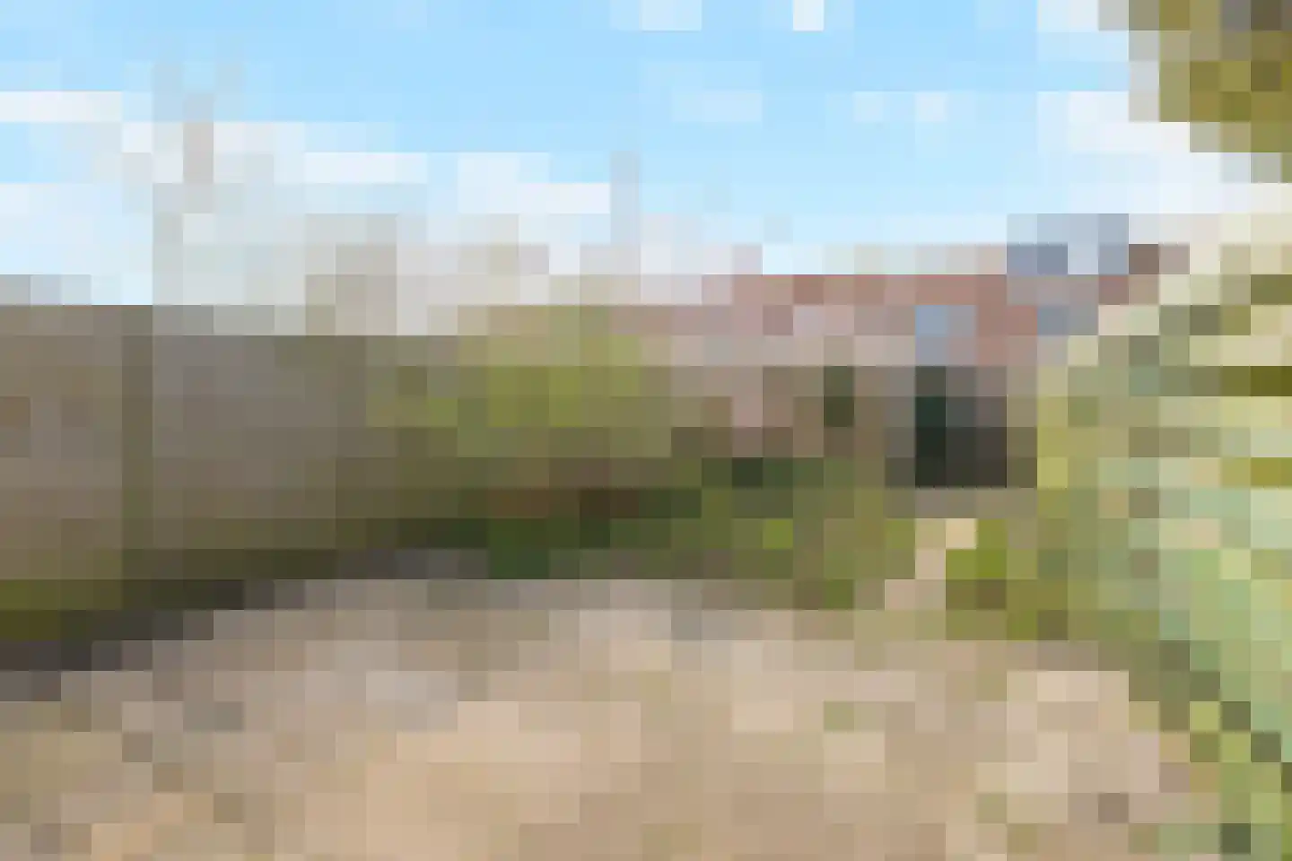 Boterzwin 3532 Julianadorp thumbnail 18