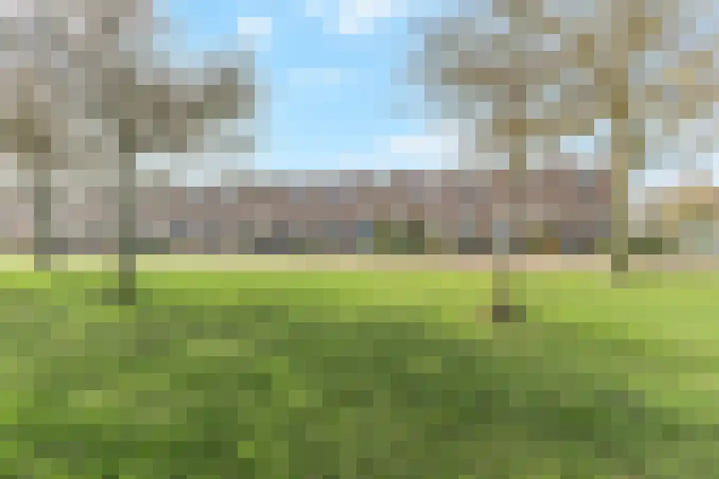 Boterzwin 3532 Julianadorp thumbnail 22