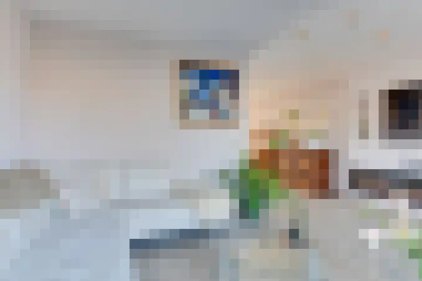 Boterzwin 4207 Julianadorp thumbnail 10