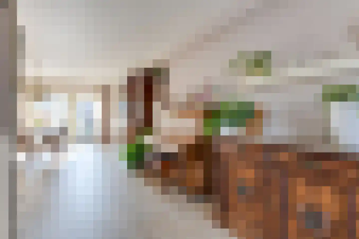Boterzwin 4207 Julianadorp thumbnail 12
