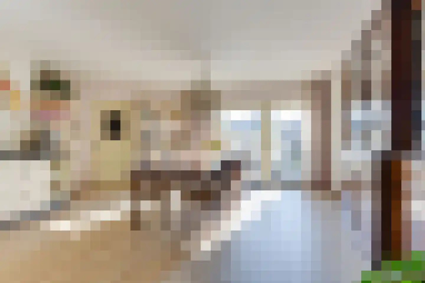 Boterzwin 4207 Julianadorp thumbnail 14