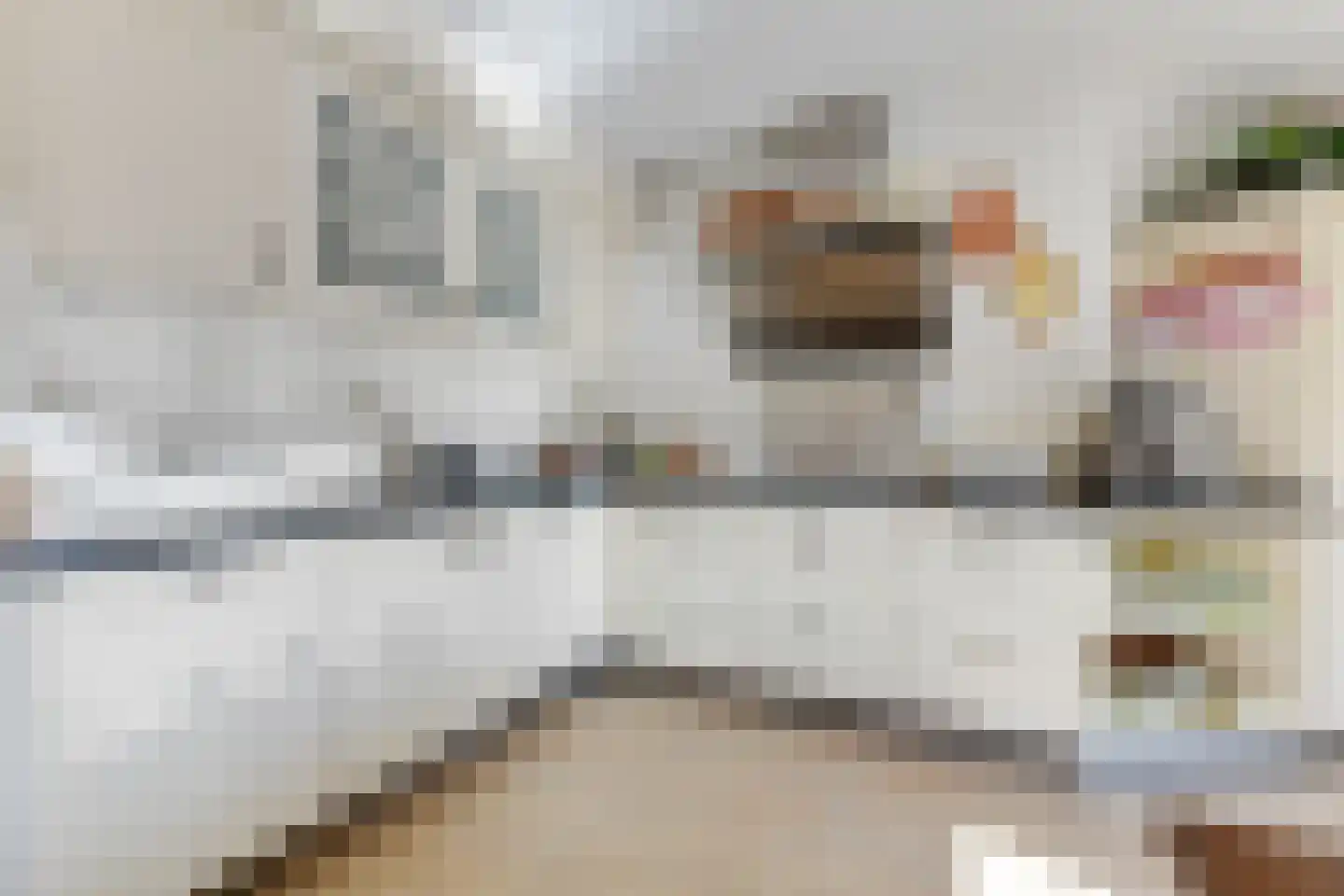 Boterzwin 4207 Julianadorp thumbnail 17
