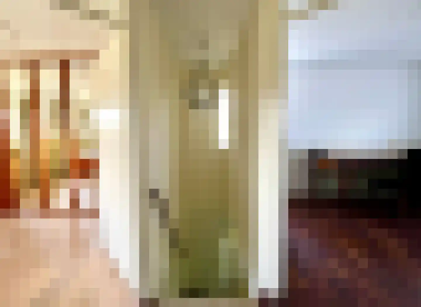 Boterzwin 4207 Julianadorp thumbnail 20