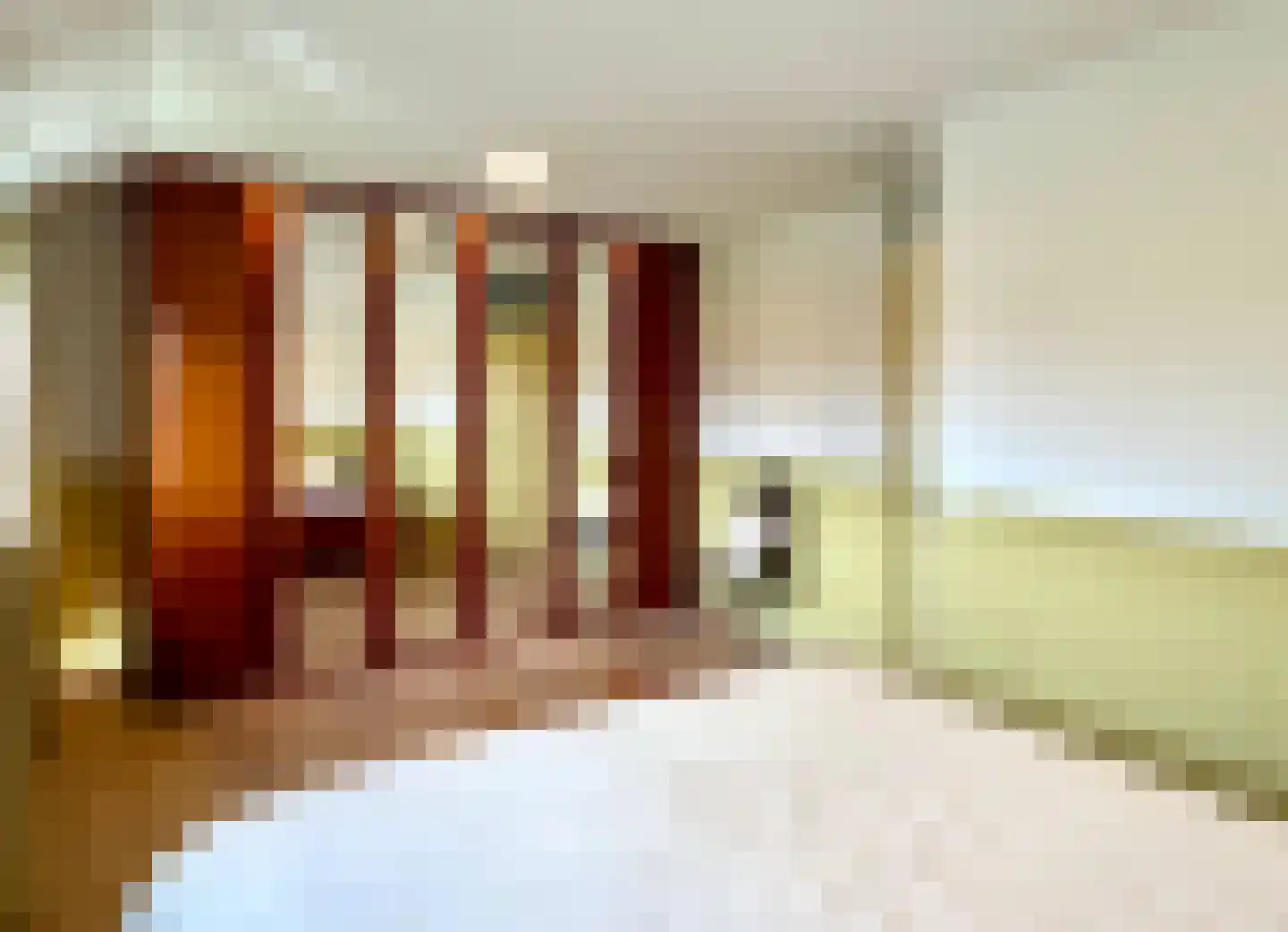 Boterzwin 4207 Julianadorp thumbnail 22