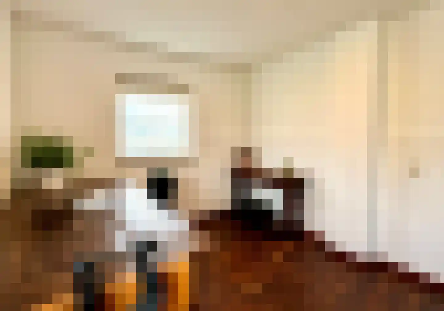 Boterzwin 4207 Julianadorp thumbnail 24