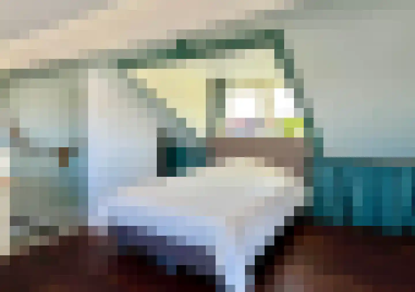 Boterzwin 4207 Julianadorp thumbnail 30